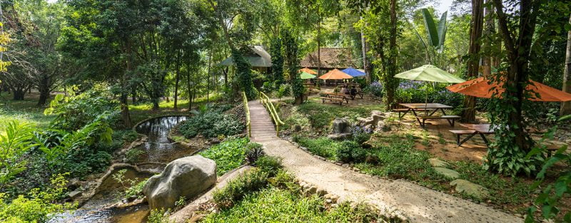 Tiệm café Dưới Tán Rừng