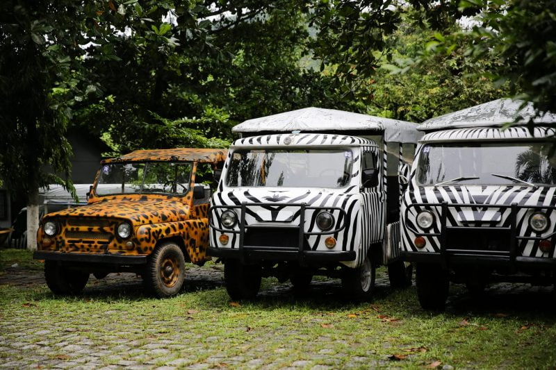 Xe jeep tham quan ở Khu du lịch Madagui