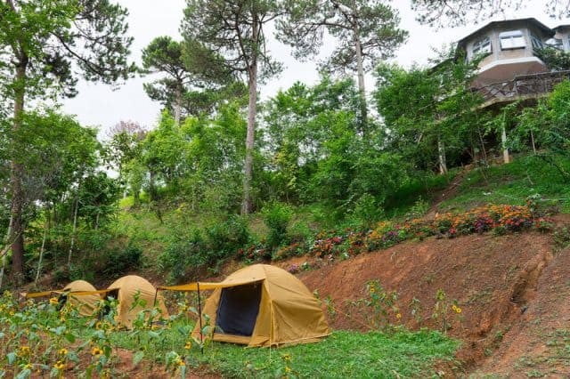 Du khách có thể tổ chức cắm trại ở khu du lịch Lá Phong Đà Lạt