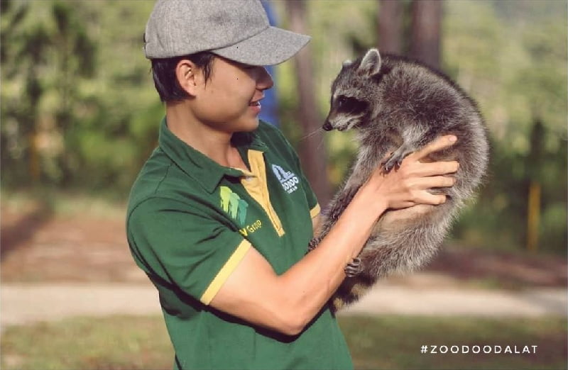 Nhân viên sở thú Zoodoo Đà Lạt