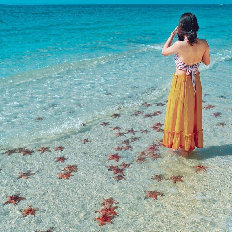 Mùa khô là mùa sao biển kéo về Rạch Vẹm Phú Quốc nhiều nhất (ảnh: sưu tầm)