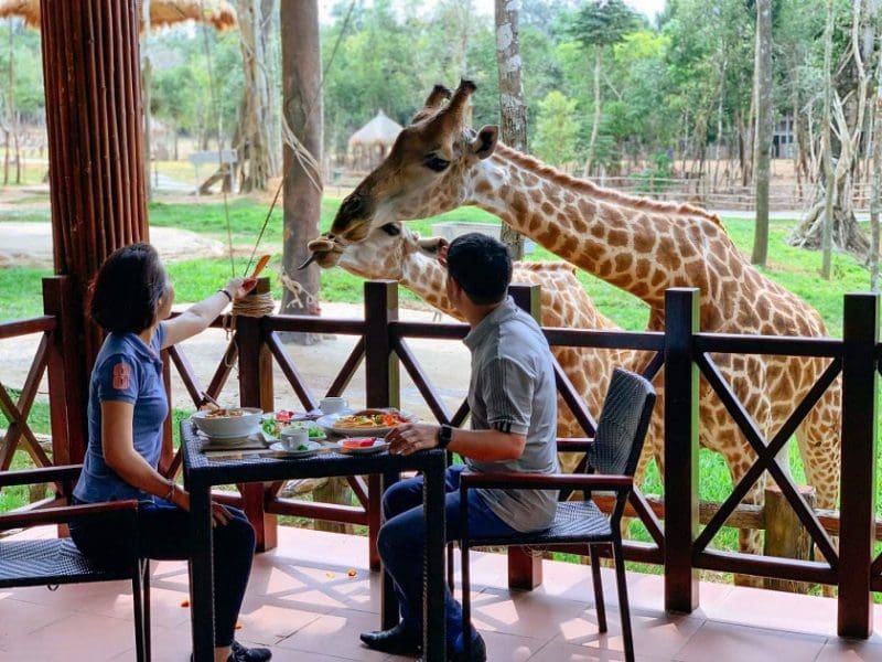 Giraffe - quán ăn ngon ở Vinpearl Phú Quốc