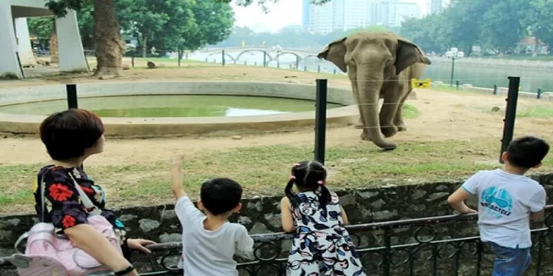 Công viên Thủ Lệ là khu vui chơi trẻ em ngoài trời tại Hà Nội hấp dẫn