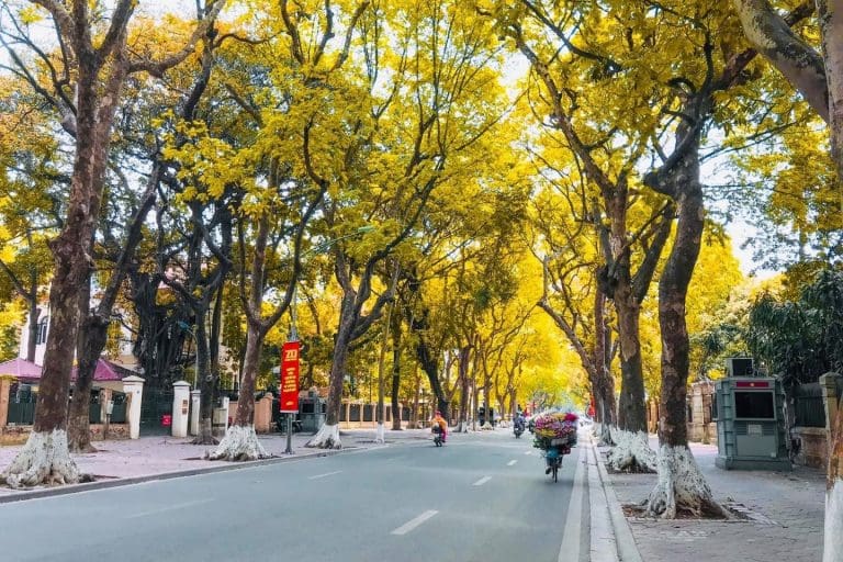 Hà Nội có những con phố ngập tràn lá vàng vào mùa thu