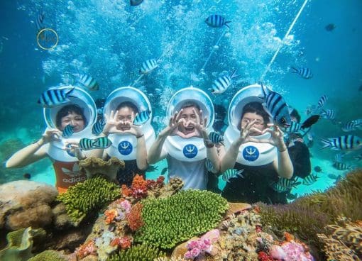 Trải nghiệm Lặn Ngắm San Hô dưới biển- Tour Phú Quốc trọn gói
