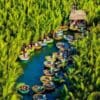 Tour Rừng Dừa 7 Mẫu Hội An