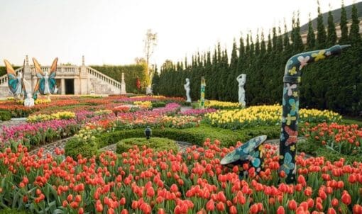 Vườn hoa Le Jardin D'Amour Tour Bà Nà 3 Ngày 2 Đêm Cù Lao Chàm Lăng Cô Hải Vân GIÁ CỰC TỐT