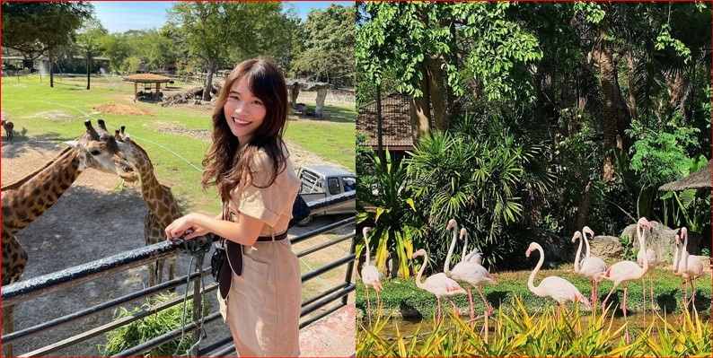 Vườn thú Khao Kheow - toủ đà nẵng thái lan 4 ngày 3 đêm