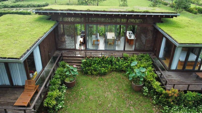 Út Thái homestay Hồ Trị An