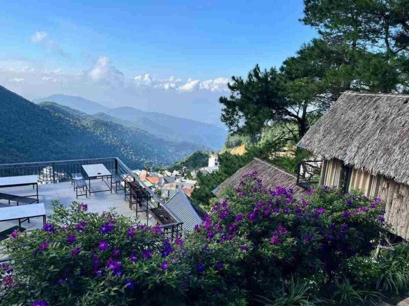 Pine Hill Homestay