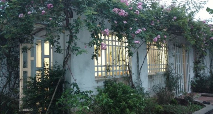 NamDinh Farm & Homestay
