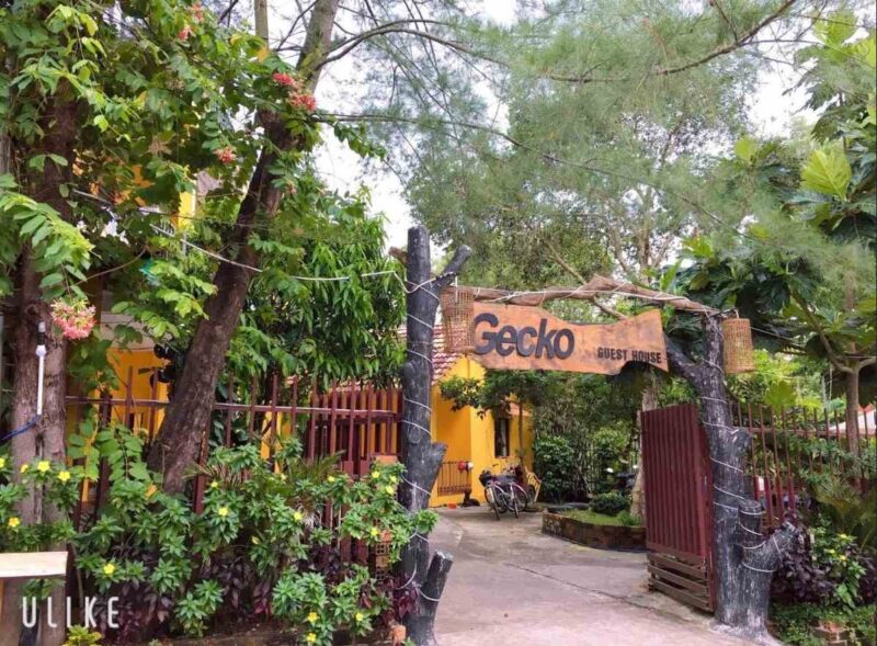 Gecko Guest House
