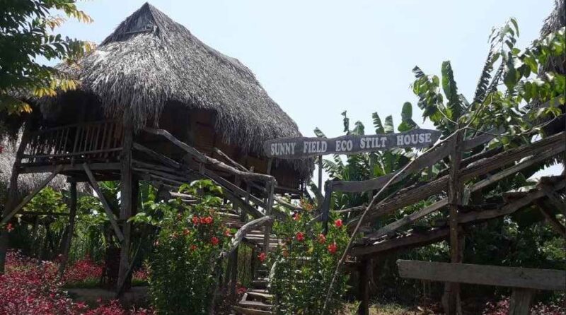 Sunny Field Eco Stilt House