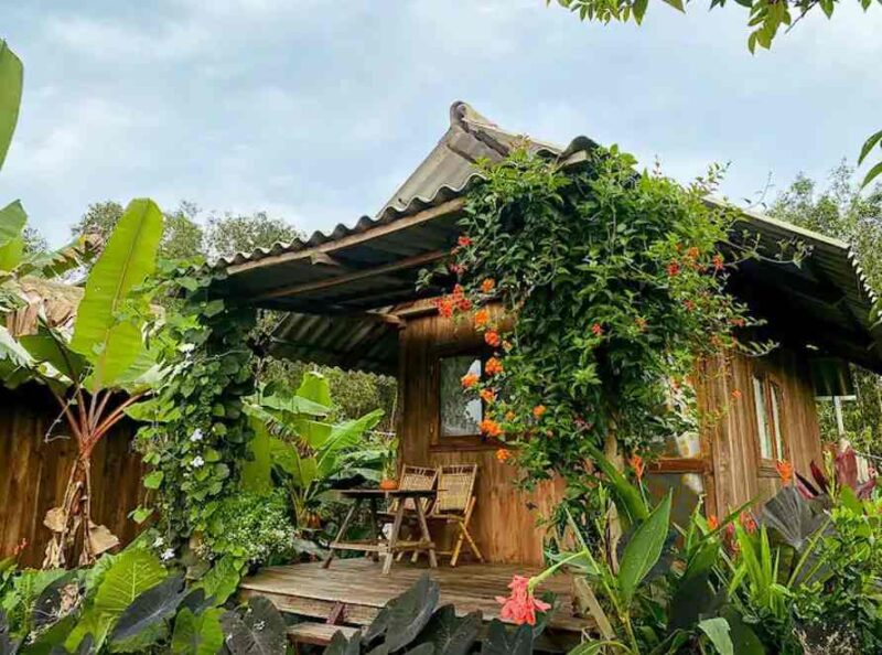 Homestay Cái Cấu