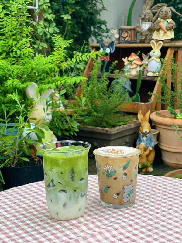 APINA CAFE