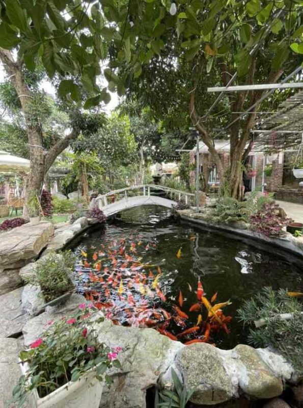 Nhà Hàng Cafe Cá Koi-Thủy Mộc Quán