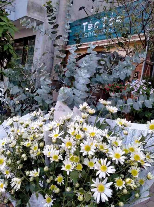 Túc Tắc Coffee & Cakes