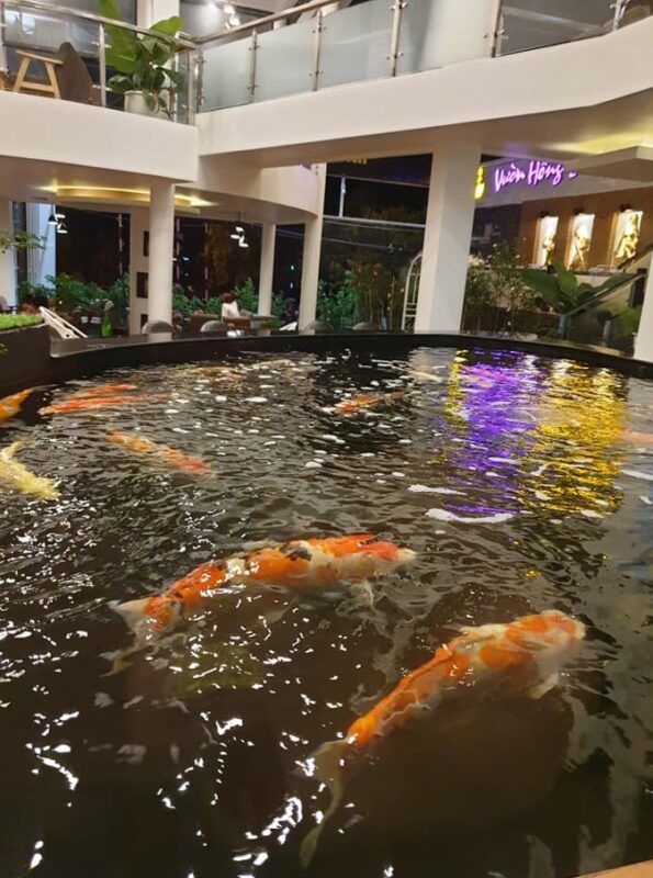 Cafe Vườn Hồng