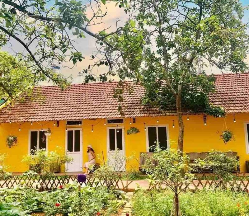 Bơ House