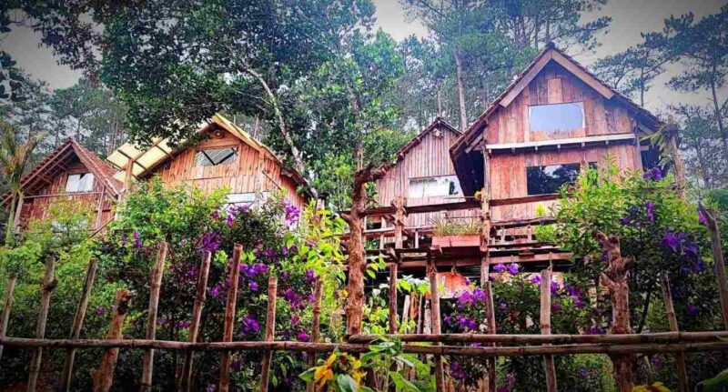 Tổ Chim Ri – Homestay Măng Đen