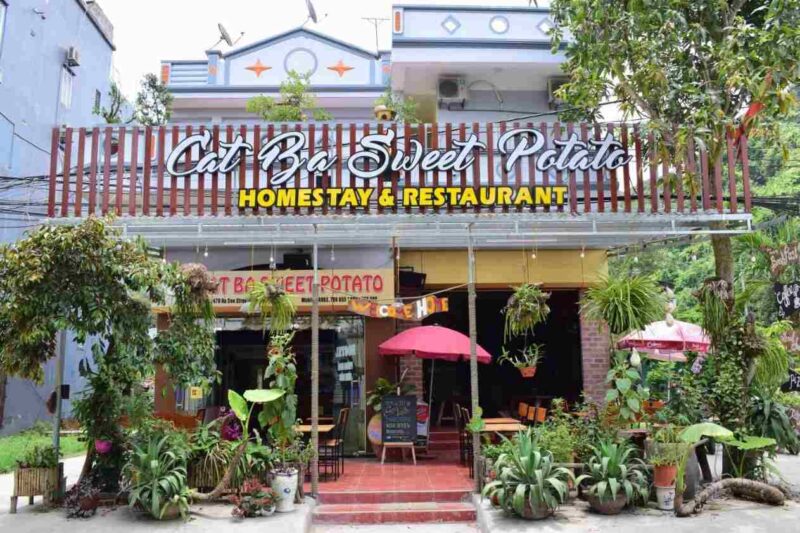 Cat Ba Sweet Potato Homestay & Restaurant
