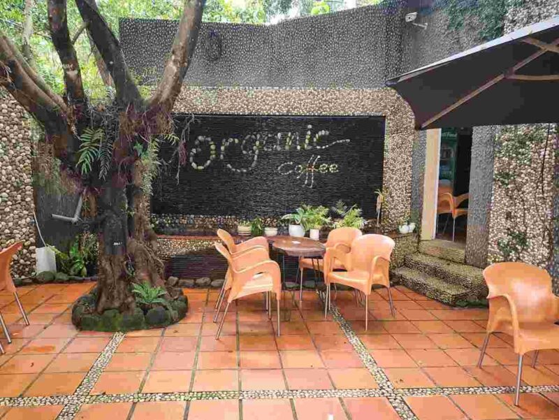 Coffee Organic - cafe Gia Nghĩa