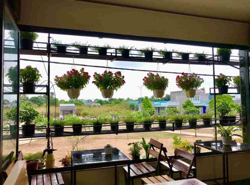 Coffee Koi Hậu Ký