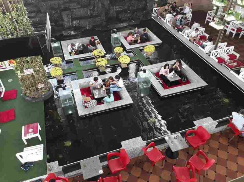 Gió Cafe - Top 1 Quán Cafe Cá Koi Cà Mau