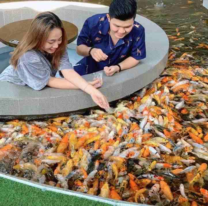 Bờ Hồ Cafe Cá Koi Cà Mau
