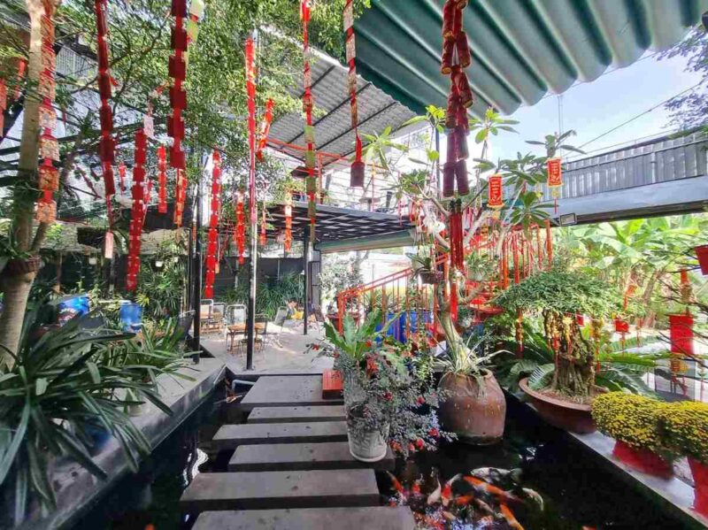 Xám Koi Cafe Cá Koi Bến Tre