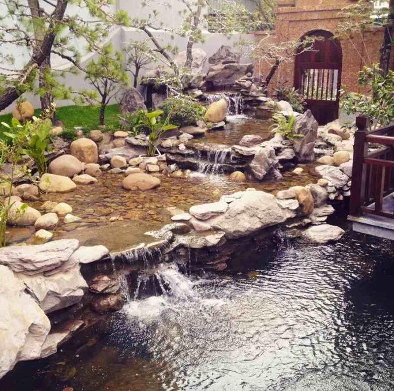Cafe Cá Koi Thái Bình - Bùi Gia