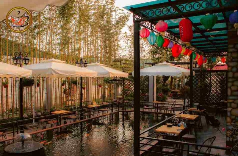 Cafe Cá Koi Thái Bình - Tứ Gia