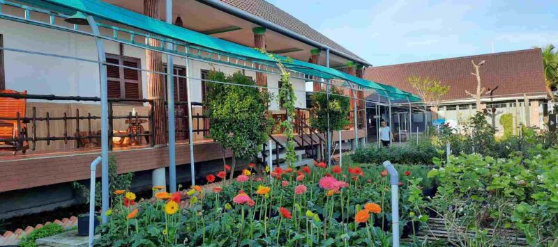Ngôi nhà Hoa Ếch - Flower & Frog Homestay