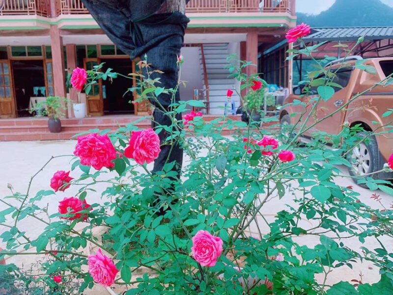 Homestay Phú Thọ
