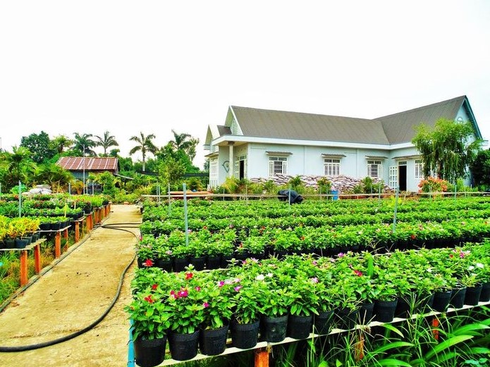 Flower Village Homestay