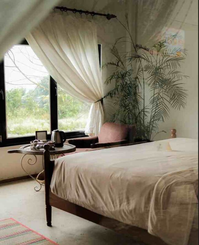 Neverland De Papillons Homestay