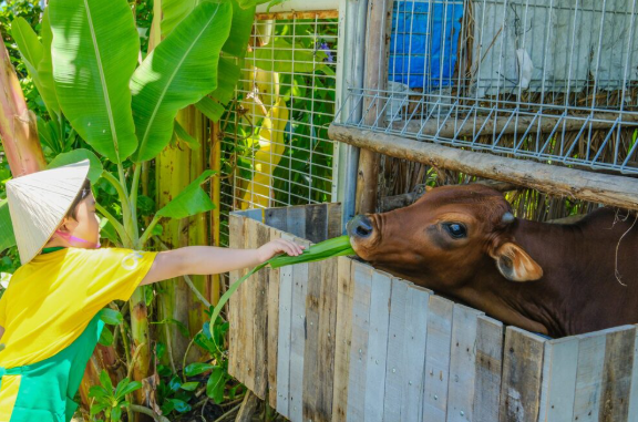 Khu nghỉ dưỡng giống như một công viên thực vật thu nhỏ