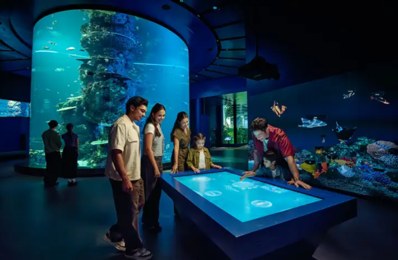 Khám Phá Oceanarium Singapore