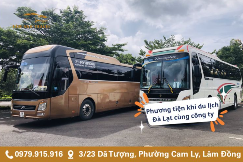 Tâm Anh Travel – Chuyên cho thuê xe du lịch Đà Lạt cho công ty