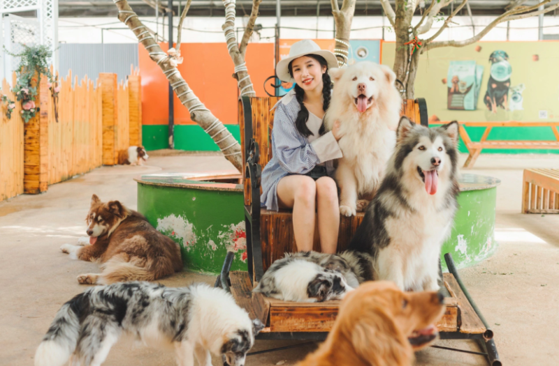 Puppy Farm là điểm tham quan phù hợp cho du khách yêu động vật và thiên nhiên