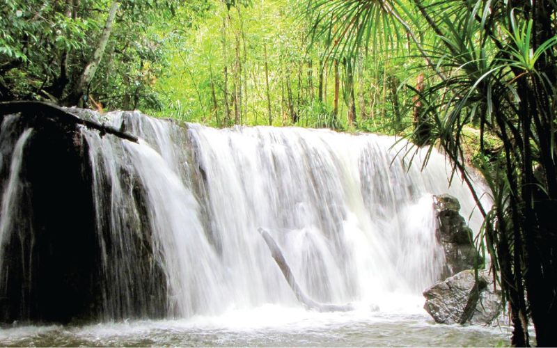 Đến đảo, đoàn tham quan Suối Tranh