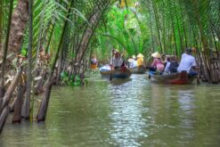 Tour Mỹ Tho – Bến Tre 1 ngày: Chùa Vĩnh Tràng, sông Tiền và Cồn Phụng