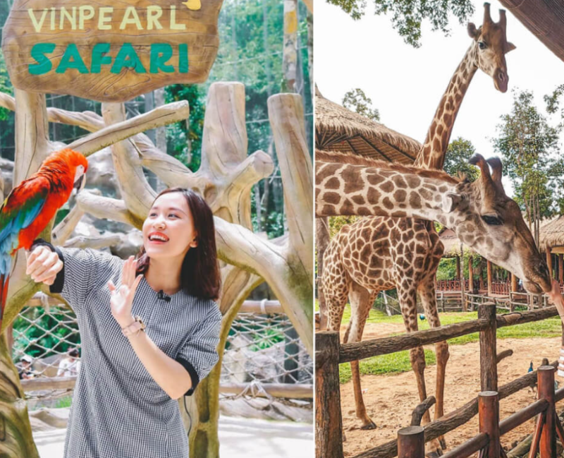 Vinpearl Safari Phú Quốc